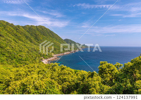 Yakushima, a World Natural Heritage Site, where fresh greenery shines through the forests and sea 124137991