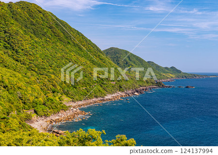 The fresh greenery of the Western Forest Road area of Yakushima, a World Natural Heritage Site 124137994