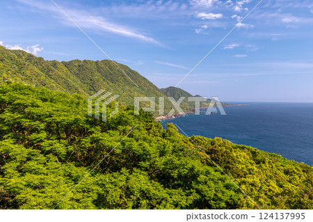 The fresh greenery of the Western Forest Road area of Yakushima, a World Natural Heritage Site The fresh greenery of the Western Forest Road area of Yakushima, a World Natural Heritage Site 124137995