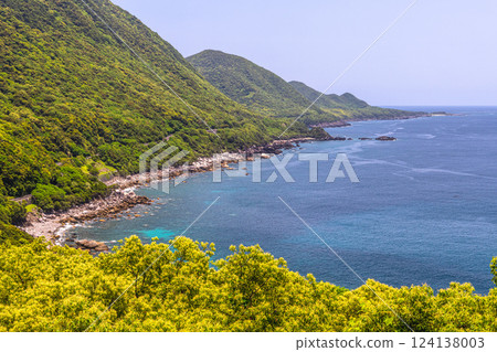 森林與海交相輝映,新綠盎然的世界自然遺產屋久島 森林與海交相輝映,新綠盎然的世界自然遺產屋久島 124138003