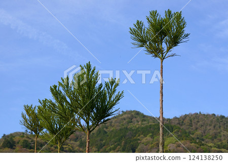 Spring stroll through Arashiyama, Kyoto-2 Spring stroll through Arashiyama, Kyoto-2 124138250