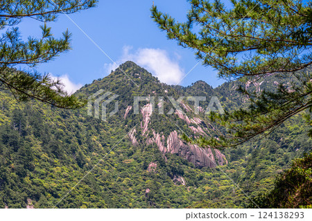 Fresh green leaves, steep mountains, World Natural Heritage site, Yakushima (spring) 124138293