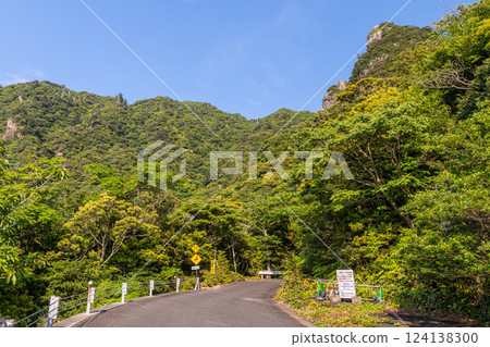 新綠：神居住的山林，世界自然遺產屋久島 124138300