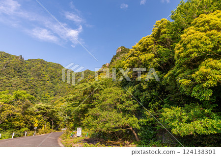 Fresh greenery: Mountains and forests where gods reside, Yakushima, a World Natural Heritage Site 124138301