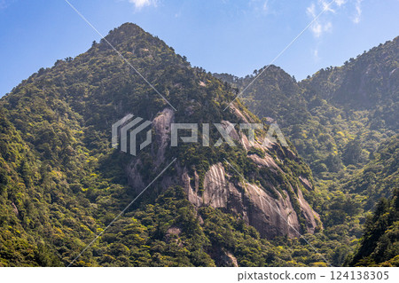 Fresh green leaves, steep mountains, World Natural Heritage site, Yakushima (spring) Fresh green leaves, steep mountains, World Natural Heritage site, Yakushima (spring) 124138305