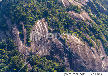 Fresh green leaves, steep mountains, World Natural Heritage site, Yakushima (spring) Fresh green leaves, steep mountains, World Natural Heritage site, Yakushima (spring) 124138306