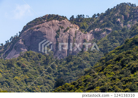 Fresh green leaves, steep mountains, World Natural Heritage site, Yakushima (spring) 124138310