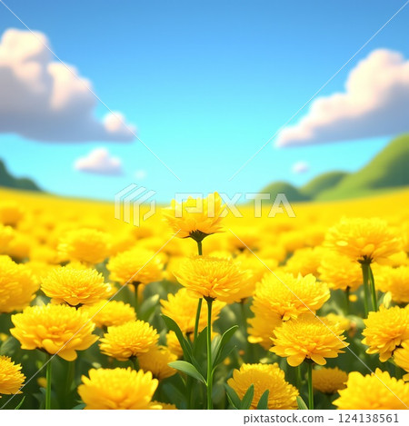 The contrast between the field of rape blossoms and the blue sky 124138561