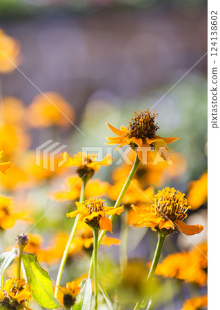 Spring is just around the corner at the Green Center Spring is just around the corner at the Green Center 124138602