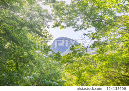 世界遺產屋久島是神靈居住的森林，新綠盎然。 124138606