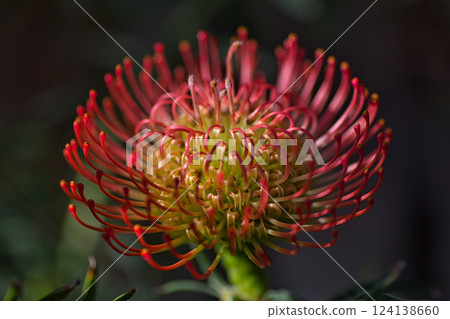 Spring is just around the corner at the Green Center 124138660