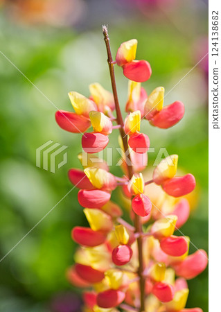 Spring is just around the corner at the Green Center 124138682