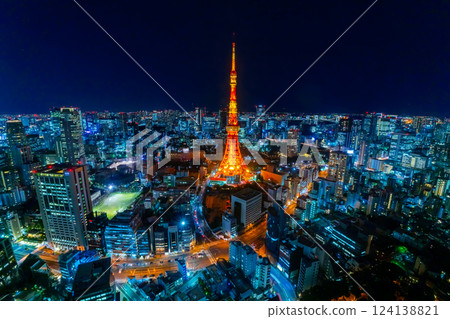 Tokyo night view: A high-angle view of the big city 124138821