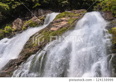 Yakushima Offshore Alps Waterfalls (May) Okawa Falls, one of Japan's 100 Best Waterfalls 124138999