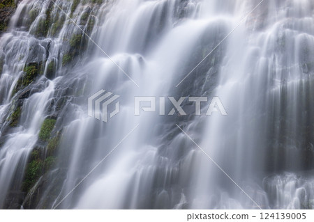 Okawa Falls, Elegant, Yakushima National Park (Spring) 124139005
