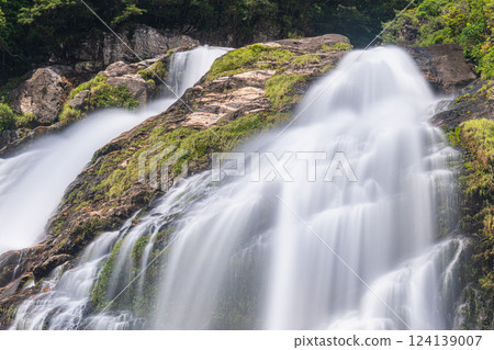 Elegant Okawa Falls, one of Japan's top 100 waterfalls, Yakushima National Park (Spring) 124139007