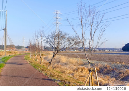 2025 年 3 月千葉縣八千代市新川自行車道沿線風景 2025 年 3 月千葉縣八千代市新川自行車道沿線風景 124139026