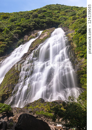 Elegant Okawa Falls, one of Japan's top 100 waterfalls, Yakushima National Park (Spring) Elegant Okawa Falls, one of Japan's top 100 waterfalls, Yakushima National Park (Spring) 124139085