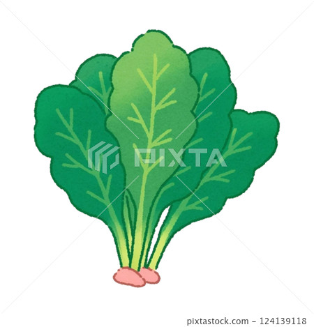 簡單的菠菜插圖,材料,圖標,蔬菜,無背景 簡單的菠菜插圖,材料,圖標,蔬菜,無背景 124139118