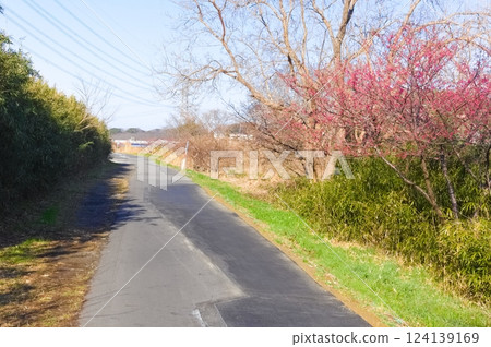 Scenery along the Hanamigawa Cycling Road in Chiba City, Chiba Prefecture March 2025 Scenery along the Hanamigawa Cycling Road in Chiba City, Chiba Prefecture March 2025 124139169