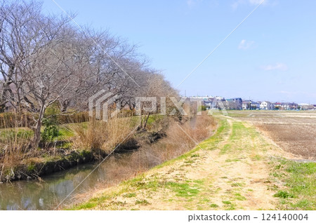 Scenery along the Obara River in Yoshikawa City, Saitama Prefecture March 2025 124140004