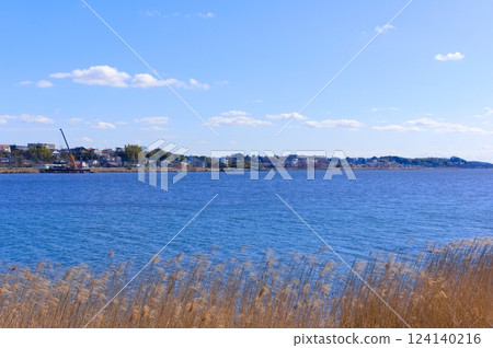 Scenery of Lake Teganuma, Abiko City, Chiba Prefecture March 2025 Scenery of Lake Teganuma, Abiko City, Chiba Prefecture March 2025 124140216