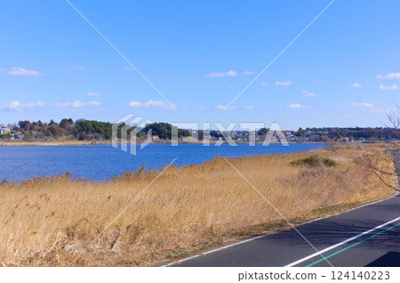 千葉縣我孫子市手賀沼湖風景 2025 年 3 月 124140223