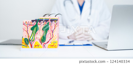 Dermatologist with anatomy model of human skin with hair. Doctor show structure of Skin, Skin disease and Hair loss. Health care, Dermatology treatment, Cosmetic surgery and Beauty consultation clinic Dermatologist with anatomy model of human skin with hair. Doctor show structure of Skin, Skin disease and Hair loss. Health care, Dermatology treatment, Cosmetic surgery and Beauty consultation clinic 124140334