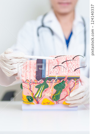 Dermatologist with anatomy model of human skin with hair. Doctor show structure of Skin, Skin disease and Hair loss. Health care, Dermatology treatment, Cosmetic surgery and Beauty consultation clinic 124140337