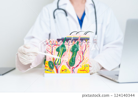 Dermatologist with anatomy model of human skin with hair. Doctor show structure of Skin, Skin disease and Hair loss. Health care, Dermatology treatment, Cosmetic surgery and Beauty consultation clinic Dermatologist with anatomy model of human skin with hair. Doctor show structure of Skin, Skin disease and Hair loss. Health care, Dermatology treatment, Cosmetic surgery and Beauty consultation clinic 124140344