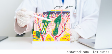 Dermatologist with anatomy model of human skin with hair. Doctor show structure of Skin, Skin disease and Hair loss. Health care, Dermatology treatment, Cosmetic surgery and Beauty consultation clinic Dermatologist with anatomy model of human skin with hair. Doctor show structure of Skin, Skin disease and Hair loss. Health care, Dermatology treatment, Cosmetic surgery and Beauty consultation clinic 124140345