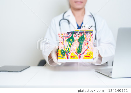 Dermatologist with anatomy model of human skin with hair. Doctor show structure of Skin, Skin disease and Hair loss. Health care, Dermatology treatment, Cosmetic surgery and Beauty consultation clinic 124140351
