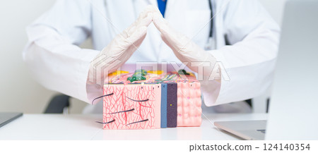 Dermatologist hand cover on anatomy model of human skin with hair. Skin disease and Hair loss. Health care, Melanoma and skin cancer, Insurance, Dermatology treatment and Beauty consultation clinic 124140354