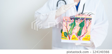 Dermatologist hand cover on anatomy model of human skin with hair. Skin disease and Hair loss. Health care, Melanoma and skin cancer, Insurance, Dermatology treatment and Beauty consultation clinic 124140366