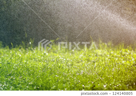 Green fresh grass with falling drops of morning rain water. Beautiful summer background with bokeh and blurred background. Low depth of field. 124140805