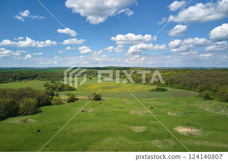 Green agricultural field with growing crops in summer season. Farming and agriculture industry Green agricultural field with growing crops in summer season. Farming and agriculture industry 124140807