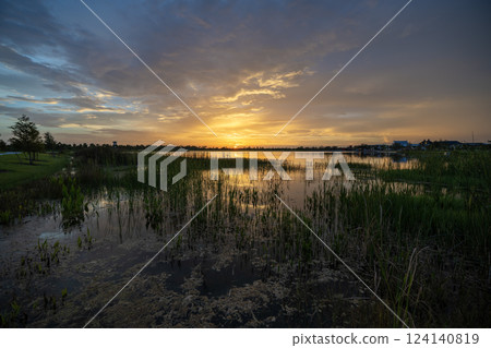 Florida lake nature at sunset. Recreational wildlife area in Wellen park in Venice 124140819