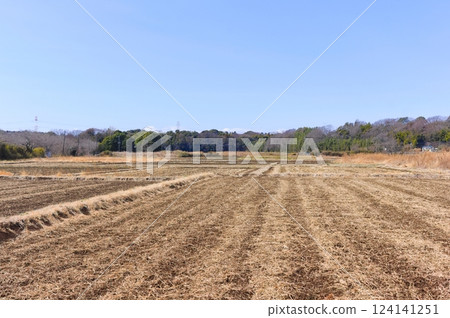 Scenery of Izumi in Kashiwa City, Chiba Prefecture March 2025 124141251