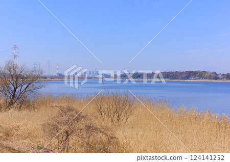 Teganuma, Kashiwa City, Chiba Prefecture March 2025 Teganuma, Kashiwa City, Chiba Prefecture March 2025 124141252