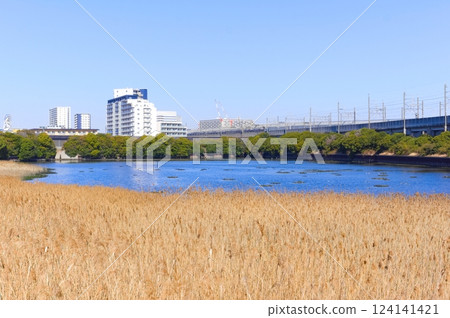 Around the Yatsu tidal flats in Narashino City, Chiba Prefecture March 2025 124141421
