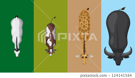 Top View of Diverse Animals 124141584