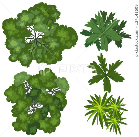 Top View of Diverse Green Foliage 124141609