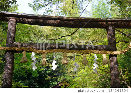 Kuroki torii gate at Nonomiya Shrine in Arashiyama, Kyoto 124141804