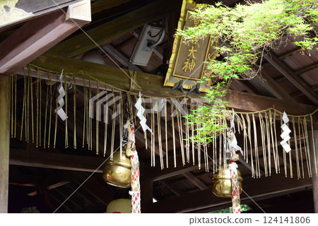 Kyoto Arashiyama Nonomiya Shrine worship hall and green maples-1 124141806