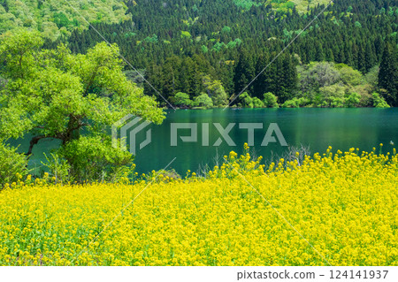 北龍湖(泉) 北龍湖(泉) 124141937