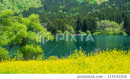 Lake Hokuryu (spring) 124141938