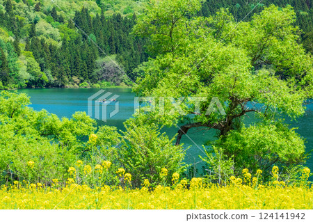 Lake Hokuryu (spring) Lake Hokuryu (spring) 124141942