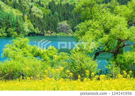 Lake Hokuryu (spring) Lake Hokuryu (spring) 124141956