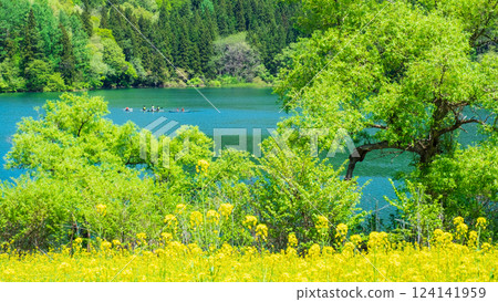 Lake Hokuryu (spring) 124141959