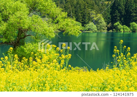 Lake Hokuryu (spring) 124141975